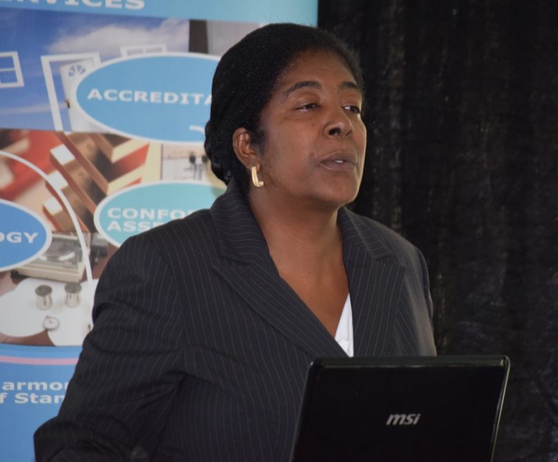 ST. KITTS AND NEVIS PARTICIPATES IN MINAMATA INITIAL ASSESSMENT WORKSHOP