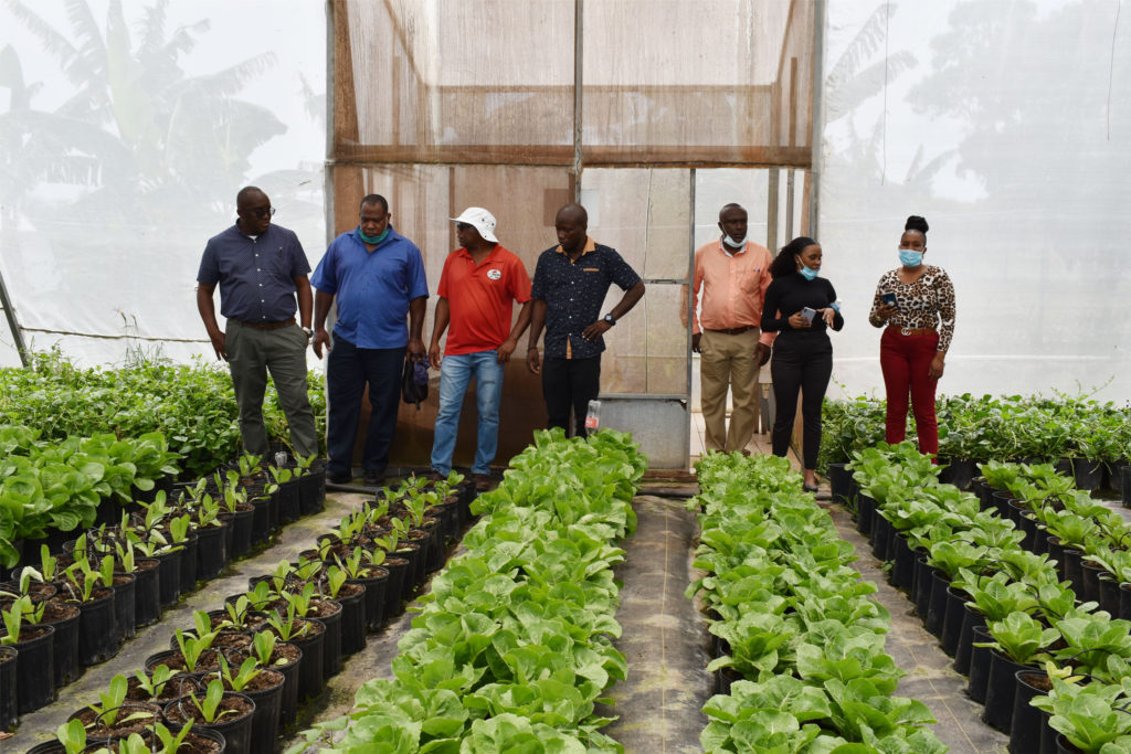 STEP Director Greene visits businesses hosting STEP interns in Nevis