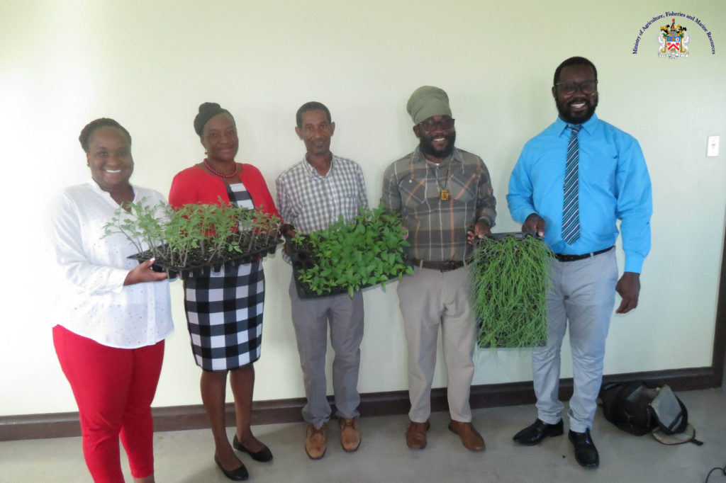 MOA DONATES SEEDLINGS AND SOURSOP TREES TO ANTIOCH BAPTISTCHURCH AND SOCIAL SERVICES
