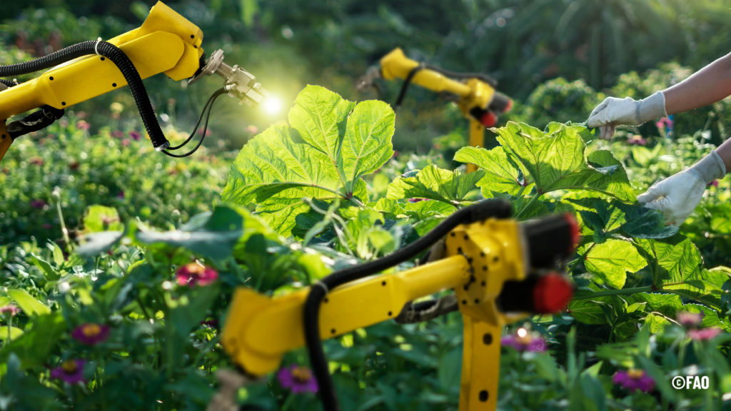 FAO report analyses how automation in agriculture is helping to transform agrifood systems