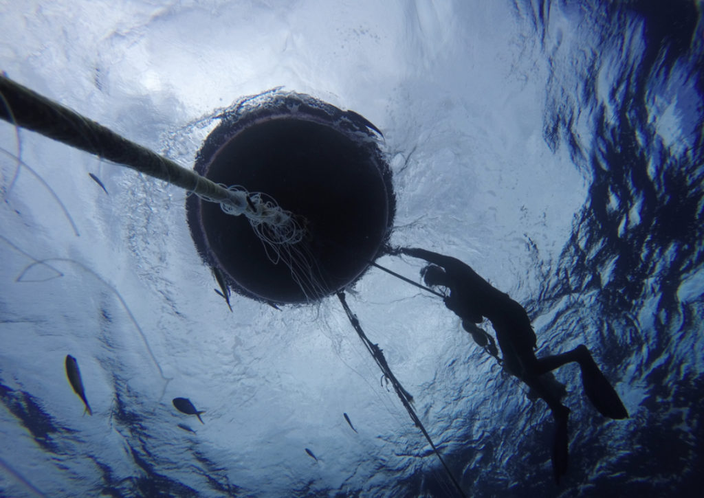 Moored Fish Aggregating Devices (MFAD’s) take center stage at upcoming WECAFC/CRFM/JICA Meeting hosted by The Fisheries Division of the Commonwealth of Dominica