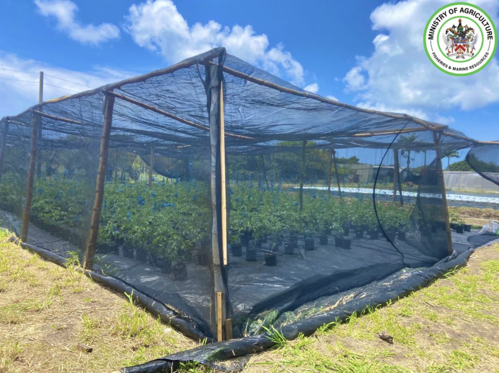 OVER 120 STALLS TO BE EXPLORED AT 29TH EDITION OF AGRICULTURE OPEN DAY THIS WEEK