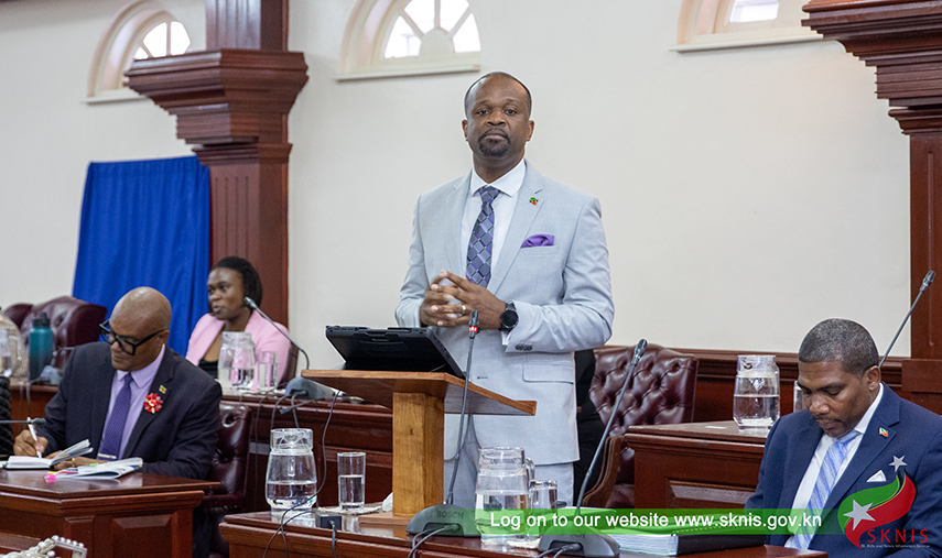 2025 BUDGET PREPARES PUBLIC TO UTILISE TOOLS FOR DIGITAL TRANSFORMATION