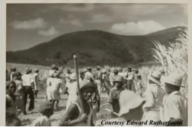 Government Acquires Land for Buckley’s Uprising Monument; PM Drew Announces Initial $100,000 in Funding