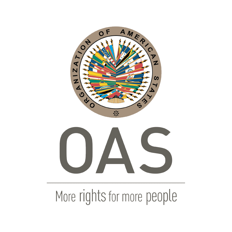 The Department of Human Resources is pleased to announce (OAS) EXTERNAL EMPLOYMENT OPPORTUNITIES IN THE GENERAL SECRETARIAT: