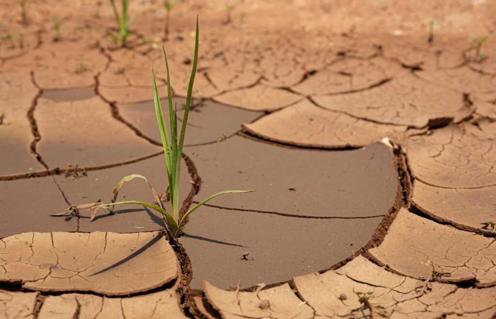 SAINT KITTS AND NEVIS UNDER DROUGHT WARNING AMID BELOW-NORMAL RAINFALL FORECAST