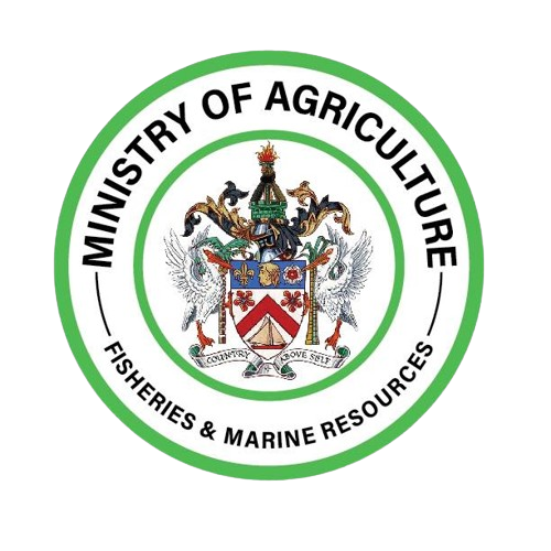 DEPARTMENT OF AGRICULTURE TO HOST AGRI-MUSIC FESTIVAL NIGHT MARKET ON JUNE 24, 2026